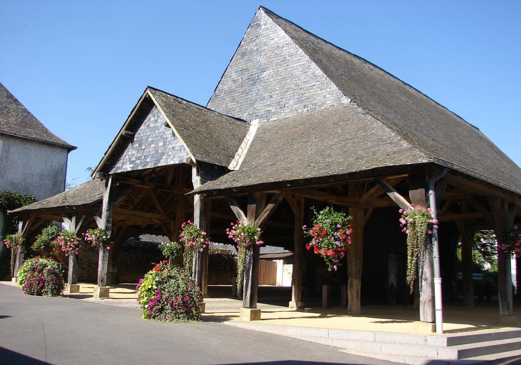 Le Relais De La Caleche Hotel Saint-Denis-d'Anjou Ngoại thất bức ảnh