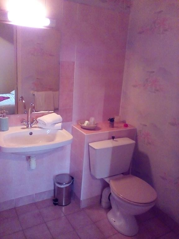 Le Relais De La Caleche Hotel Saint-Denis-d'Anjou Ngoại thất bức ảnh