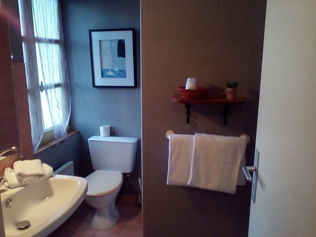 Le Relais De La Caleche Hotel Saint-Denis-d'Anjou Ngoại thất bức ảnh